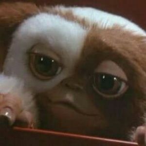 Meet your Posher, John r.